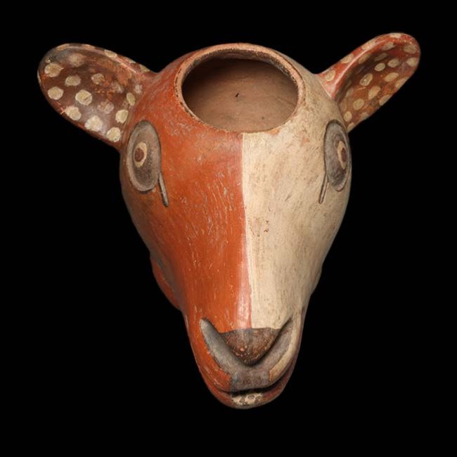 Vessel with Alpaca Head Moche Peru